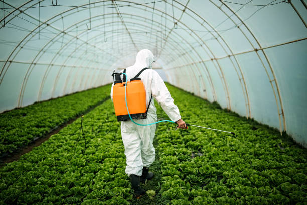 Best Best Pest Control Companies  in Thief River Falls, MN